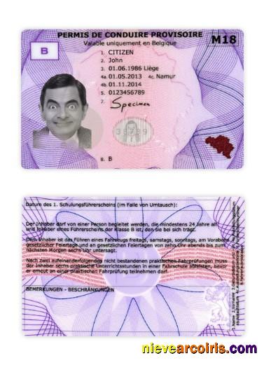 Belgium provisional driving license